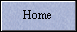 Home page button